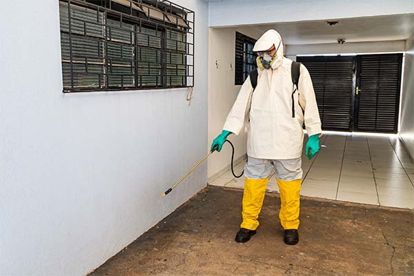 Serviço de dedetização em residência